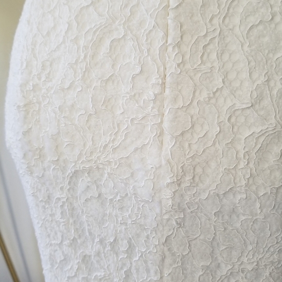 Adrianna Papell Lace V-Neck Wedding Gown Down - Picture 7 of 8